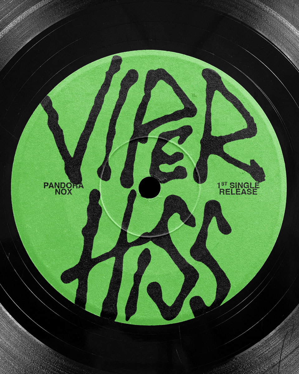 Viper_Hiss_©_Philipp_Maurer_001