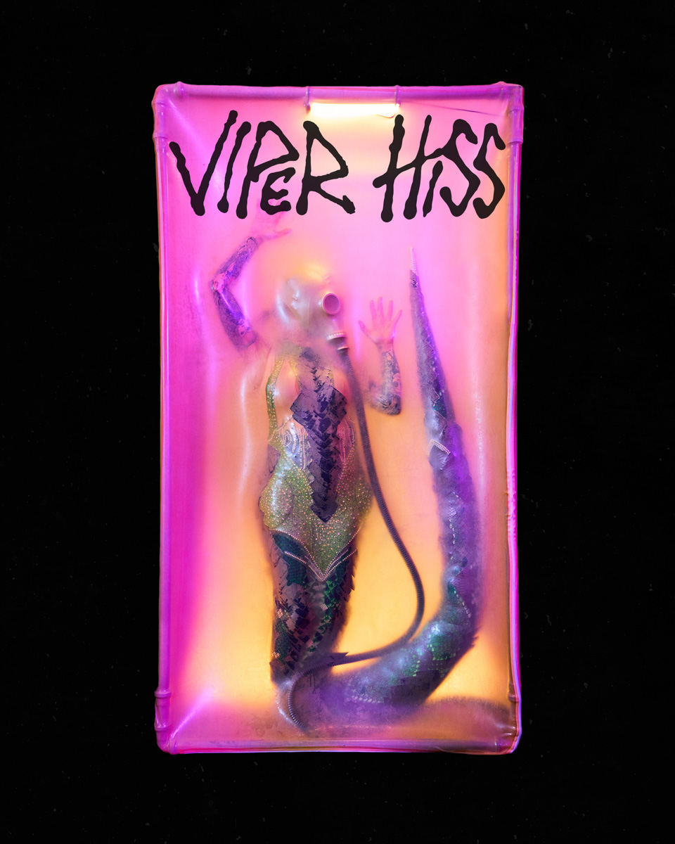 Viper_Hiss_©_Philipp_Maurer_002