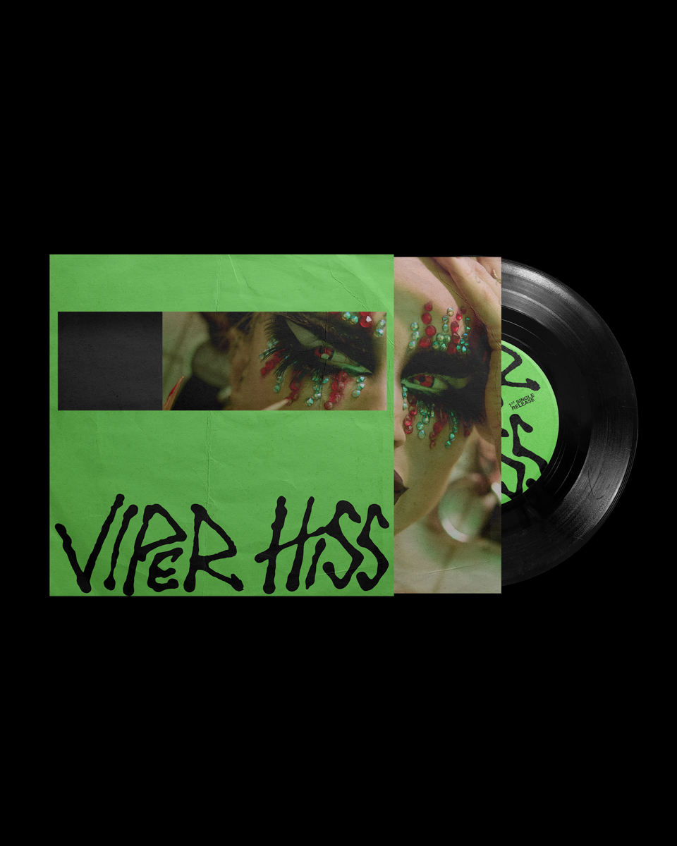 Viper_Hiss_©_Philipp_Maurer_005